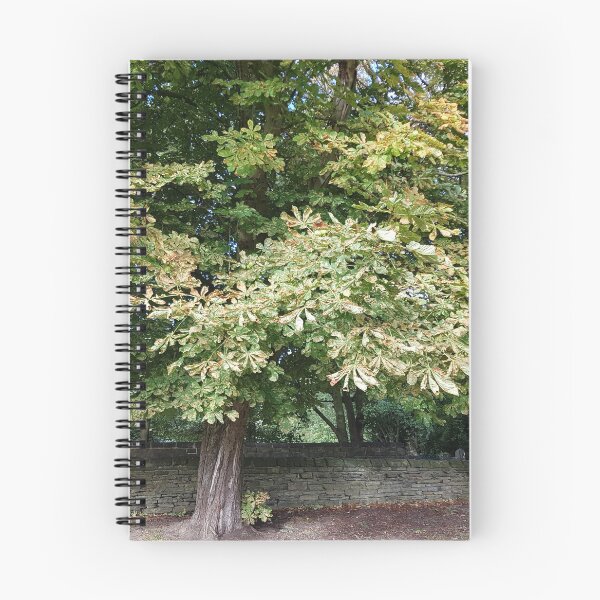 Item preview, Conker trees on the village green designed and sold by susiesart.