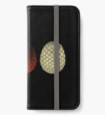 Dragon Eggs iPhone Wallet/Case/Skin