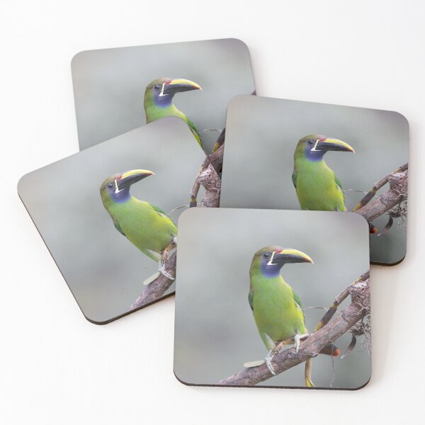 Item preview, Toucanet designed and sold by mlorenz.