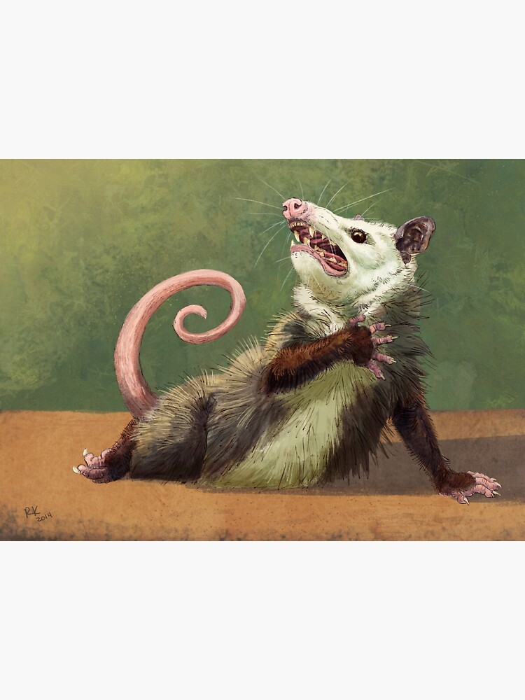 Thumbnail 3 of 3, Magnet, Amateur Opossum Actress designed and sold by rebeccakriz.
