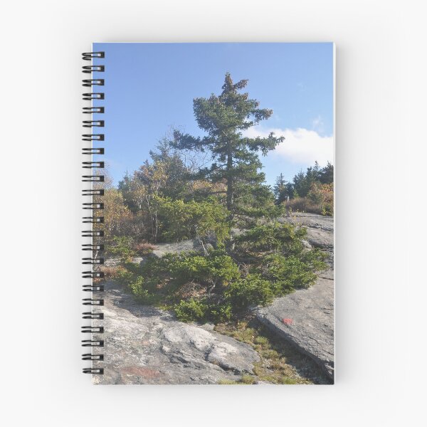 Item preview, Evergreen Atop a Mountain designed and sold by Theophanes Avery.