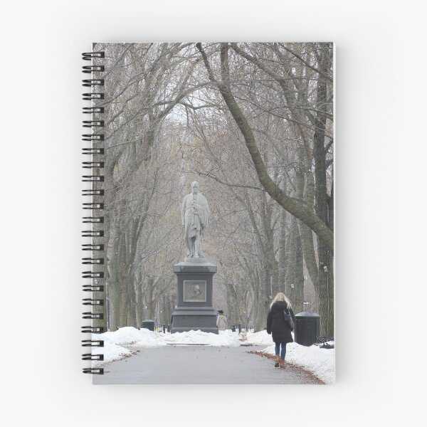 Item preview, Winter on Commonwealth Avenue designed and sold by Autumn Seas Photography.