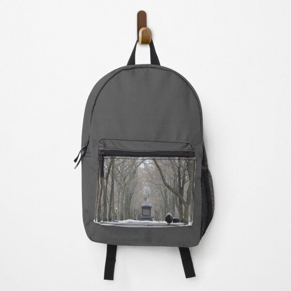 Item preview, Winter on Commonwealth Avenue designed and sold by Autumn Seas Photography.