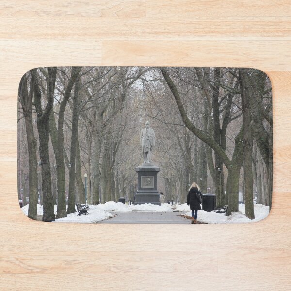 Item preview, Winter on Commonwealth Avenue designed and sold by Autumn Seas Photography.