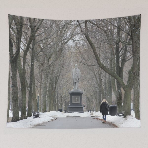 Artikelvorschau, Winter auf der Commonwealth Avenue entworfen und verkauft von Autumn Seas Photography.