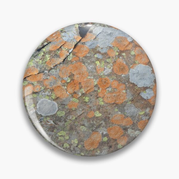 Item preview, Patterns on the Rocks designed and sold by Theophanes Avery.