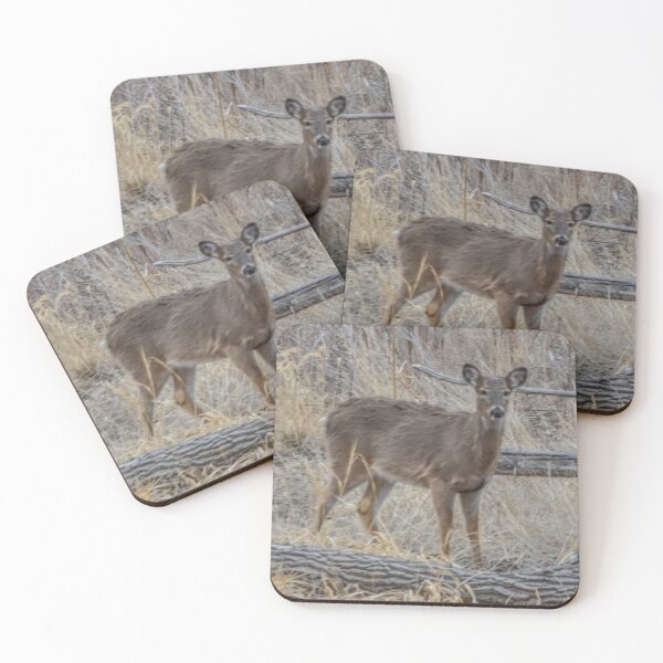 Item preview, Denver Deer designed and sold by TBirdPhotos.