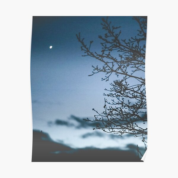 Evening Poster
