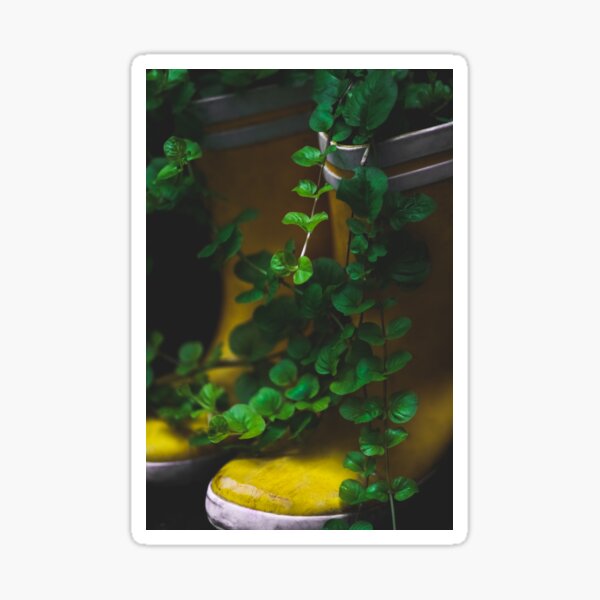 Yellow Wellies Sticker