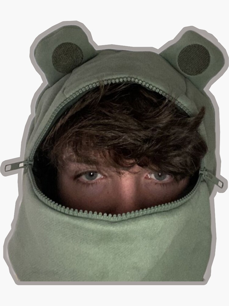 Karl Jacobs Frog Hoodie Wallpaper : Mcyt Hoodie | Homerisice