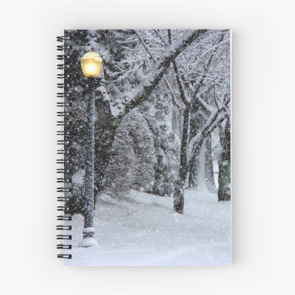 Item preview, Street Lamp in Heavy Snow designed and sold by myhuskymax.