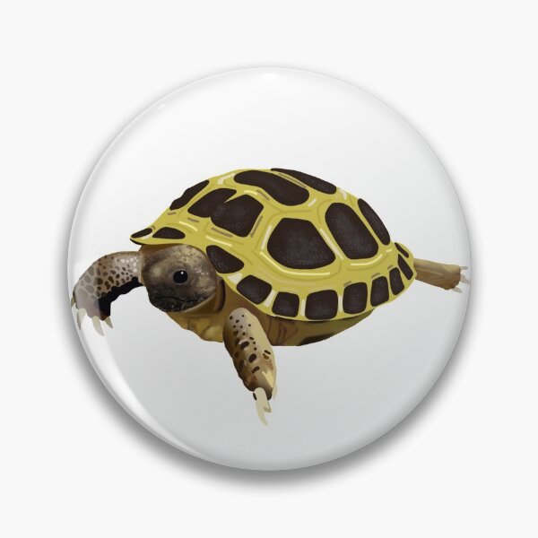 Item preview, Torty the tortoise  designed and sold by ccvarela.