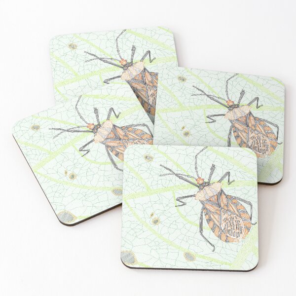 Item preview, Ecuadorian Leaf-Footed Bug designed and sold by beetlelady.