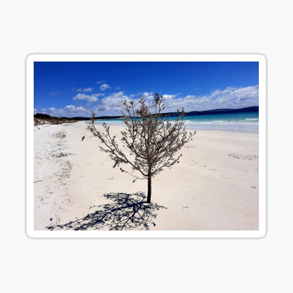 Item preview, Lone Tree on White Sandy Beach designed and sold by MistyCove.