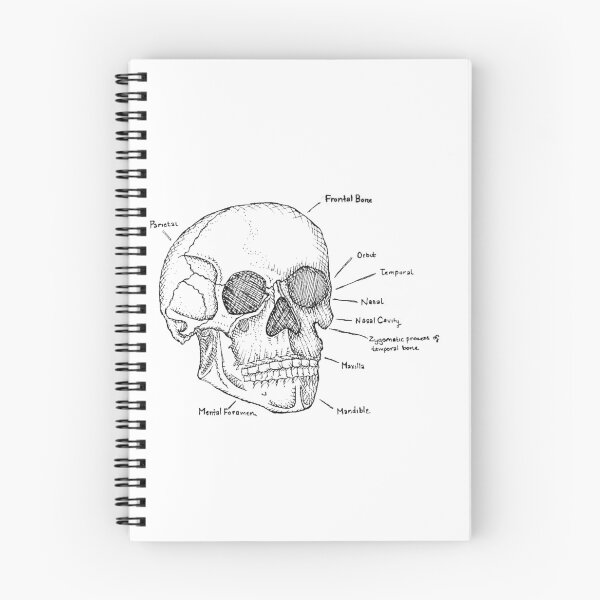 Item preview, Skull designed and sold by JudePeters.