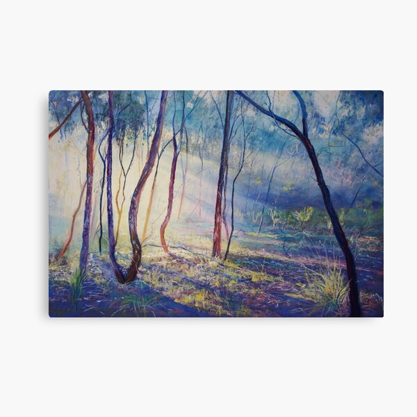Ironbark Country Morning Canvas Print
