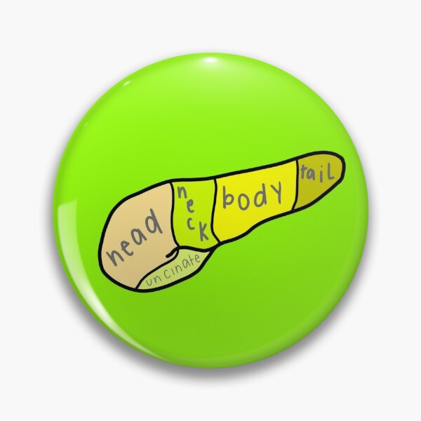 Item preview, Pancreas (labeled) designed and sold by tunatoes.