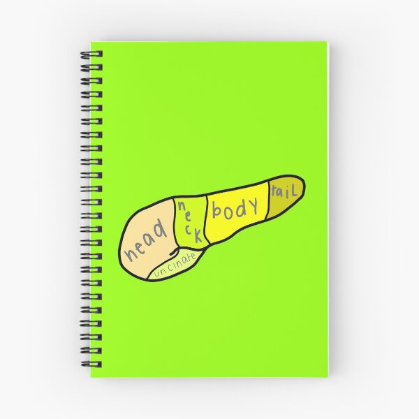 Item preview, Pancreas (labeled) designed and sold by tunatoes.