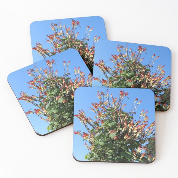 Item preview, Ipomoea lobata designed and sold by Michaela Perryman.
