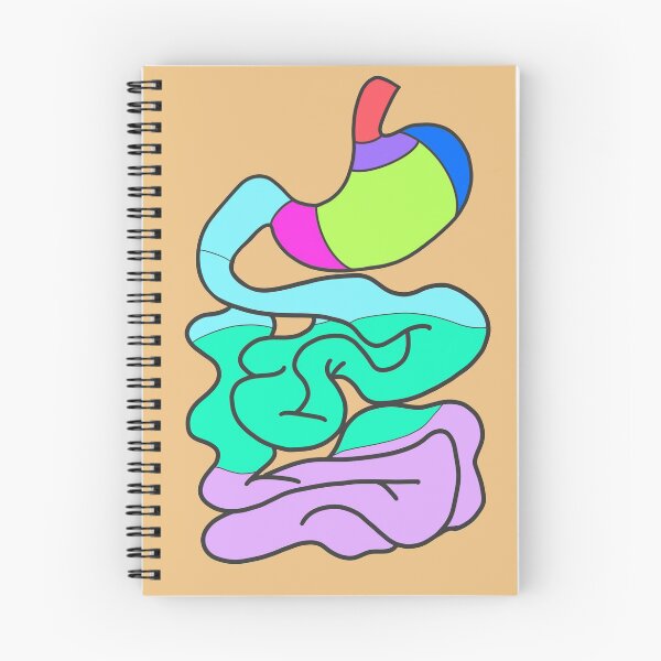 Item preview, Stomach & small intestine (unlabeled) designed and sold by tunatoes.