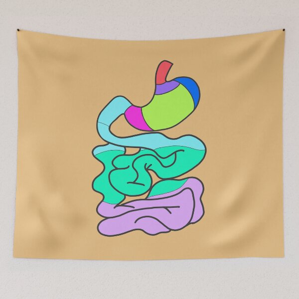 Item preview, Stomach & small intestine (unlabeled) designed and sold by tunatoes.