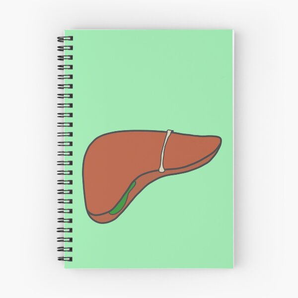 Item preview, Liver (unlabeled) designed and sold by tunatoes.