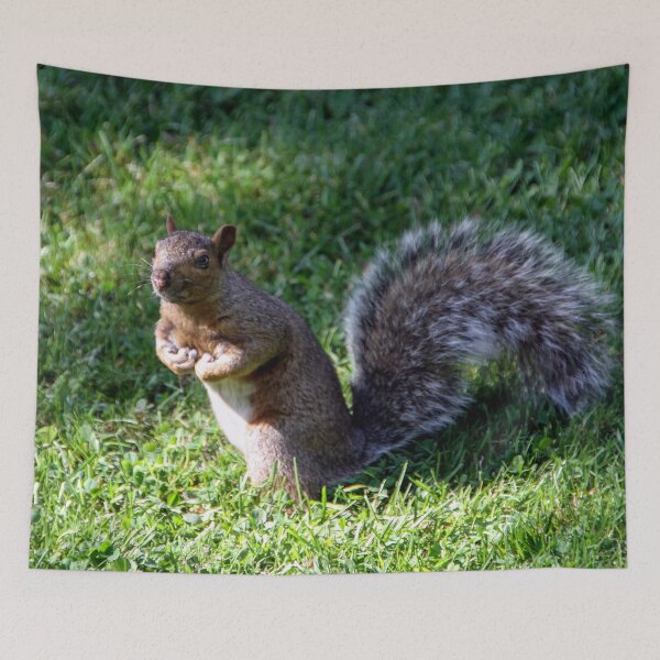 Item preview, You Talking To Me? designed and sold by heatherfriedman.