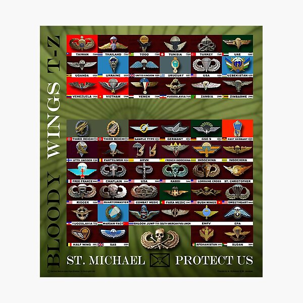 Bloody Wings; Para Badge; T-Z Photographic Print