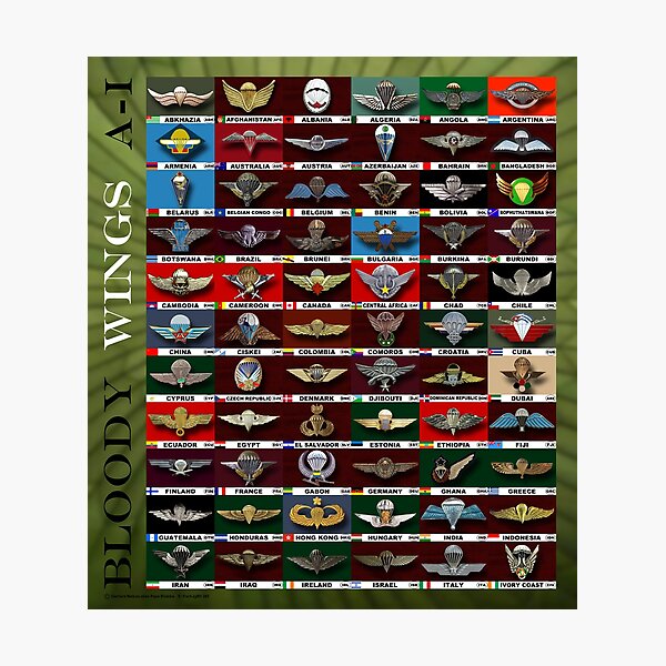 Bloody Wings; Para Badge; A-I; Photographic Print