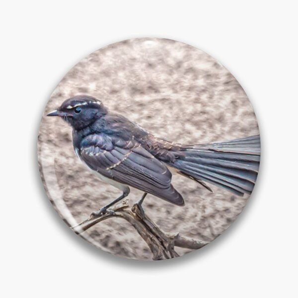 Item preview, Willy wagtail 01 designed and sold by GaryParnell.