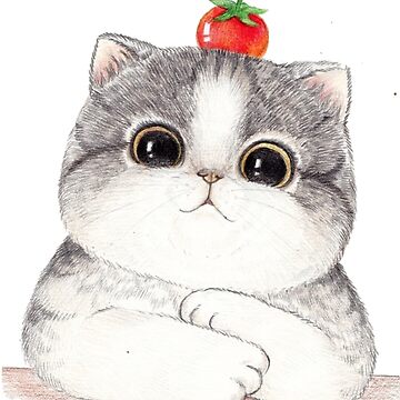Kitten Cat Drawing Cartoon, cat, white, mammal, face png | PNGWing