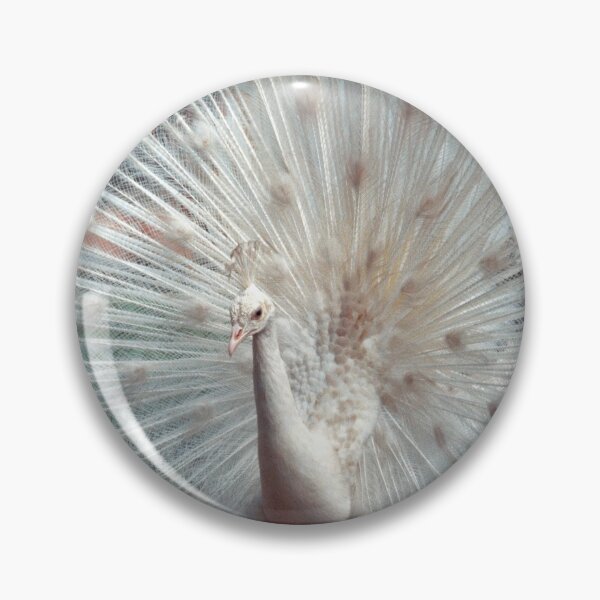 Item preview, Peacock photo with beautiful feathers spread for custom printed products designed and sold by CameraDesign.