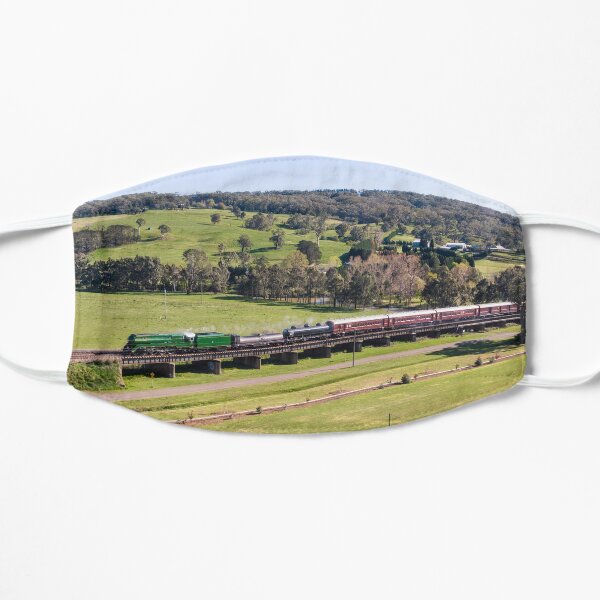 Southern Highlands 3801 - Australian steam locomotive. Flat Mask