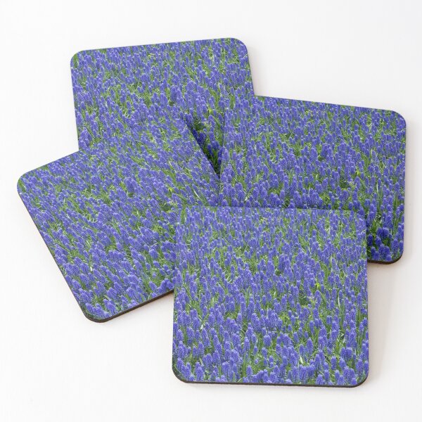 Item preview, Tulip flowers photograph, violet in colour, for custom printed products designed and sold by CameraDesign.