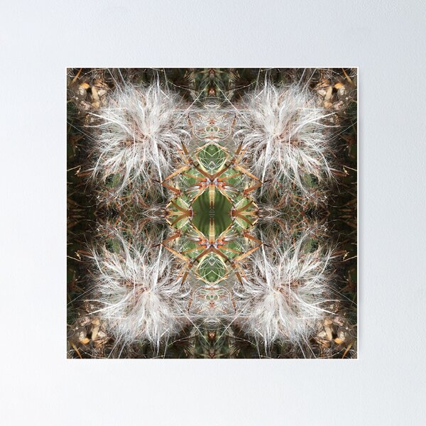 Item preview, Botanical, Divine -  Sweet Succulents, Emerald/White designed and sold by RoseAromas.
