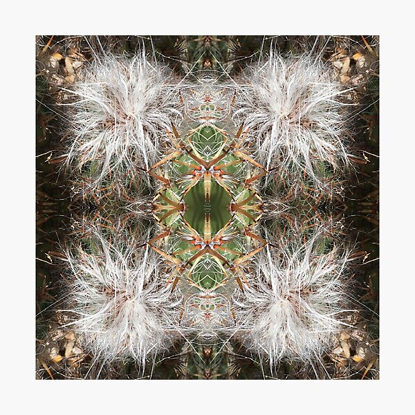 Item preview, Botanical, Divine -  Sweet Succulents, Emerald/White designed and sold by RoseAromas.