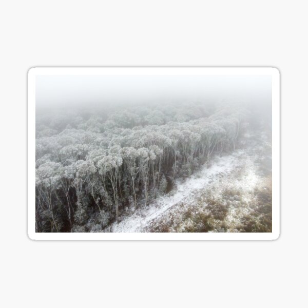 Item preview, Snow covered Eucalyptus trees designed and sold by Nathan Murphy.