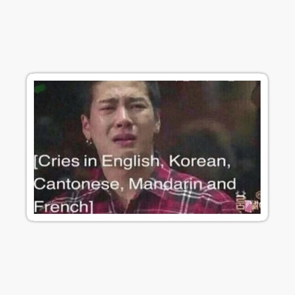 Artikel-Vorschau von weint in englisch koreanisch kantonesisch mandarin und französisch lustig kpop meme, designt und verkauft von goodnfresh.