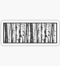 aspen trees Sticker