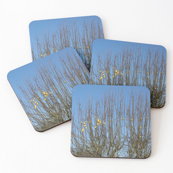 Item preview, The Very Last Apples designed and sold by Alexandra Lavizzari.