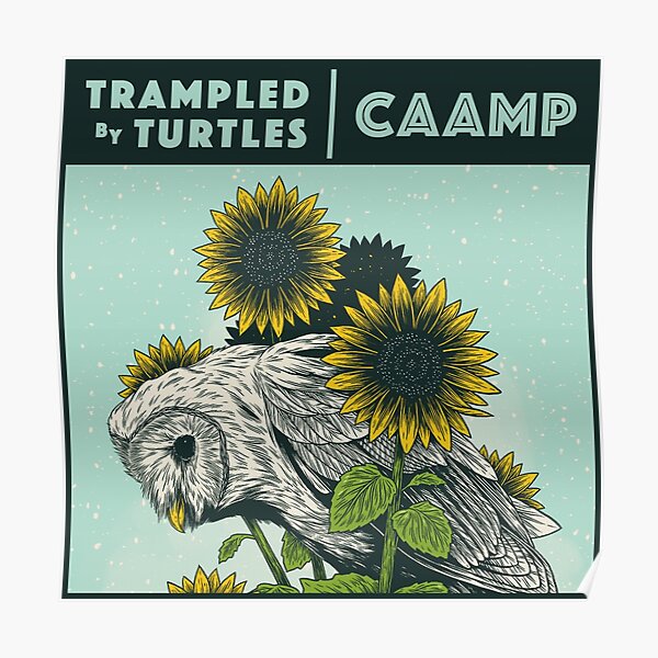 Download Trampled By Turtles Posters Redbubble