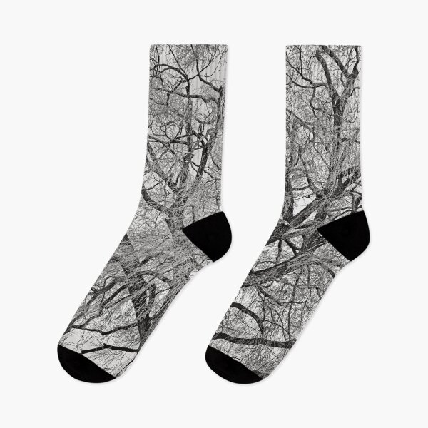 Item preview, Weeping Willow in Spring designed and sold by Skayart.