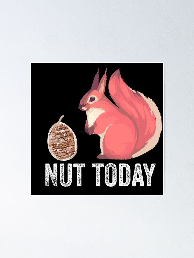Funny squirrel sayings quote, NUT TODAY, Gift idea for women squirrel  lovers owners