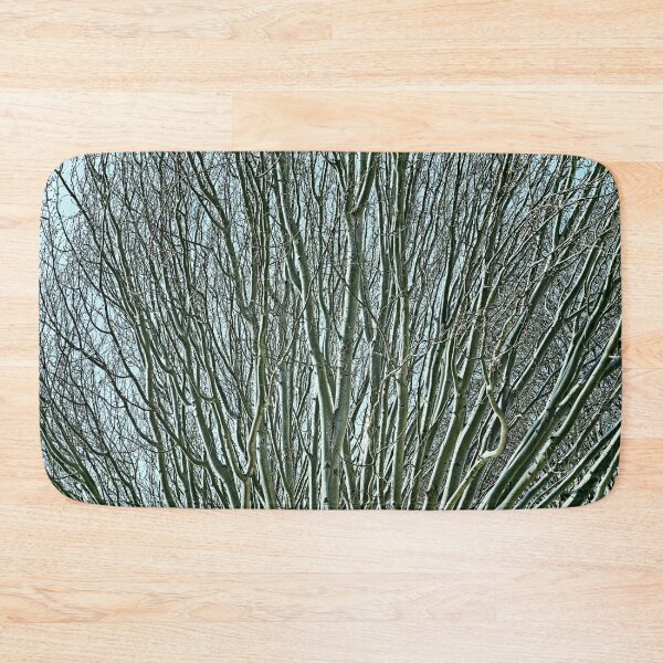 Item preview, Leafless tree on a winter evening at sunset designed and sold by Skayart.