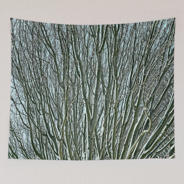Item preview, Leafless tree on a winter evening at sunset designed and sold by Skayart.