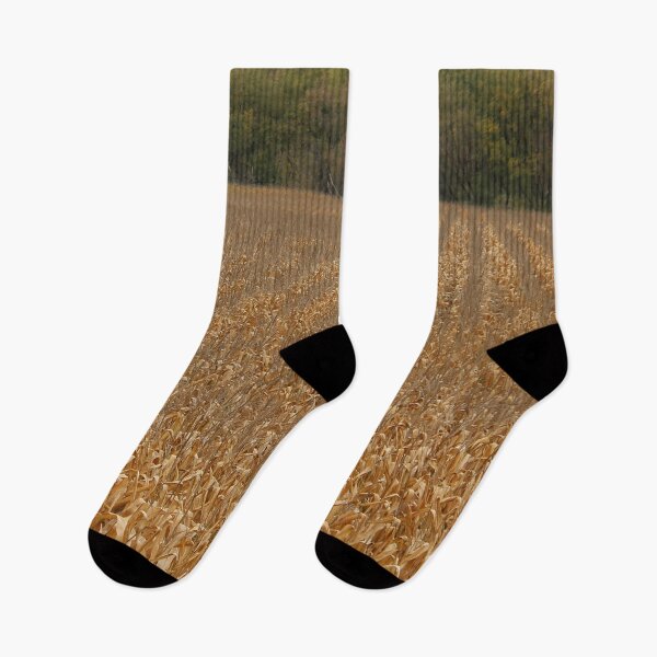 Item preview, Golden Rows of Corn designed and sold by Susie Kramer.