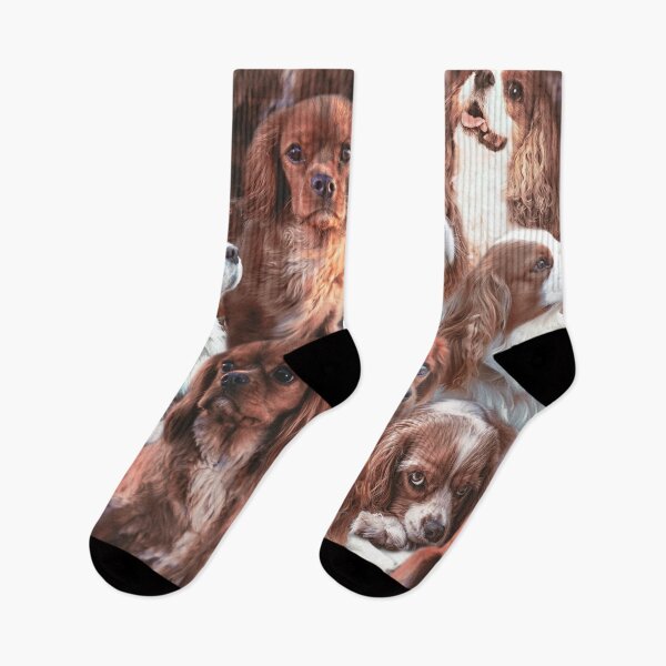 Item preview, Cavalier King Charles designed and sold by MaxencePierrard.