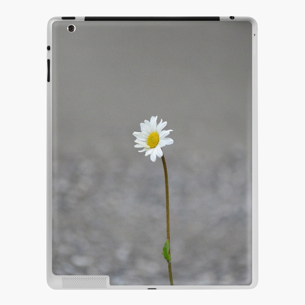 Item preview, iPad Skin designed and sold by cokemann.