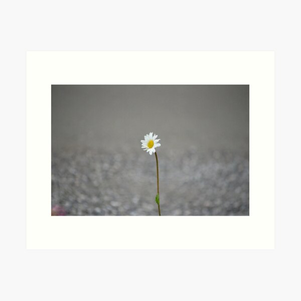 Alone 17.09.2020 Art Print