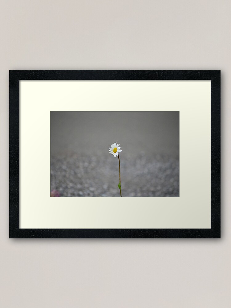 Thumbnail 2 of 7, Framed Art Print, Whispering Petals: A Tale of Floral Enchantment designed and sold by cokemann.